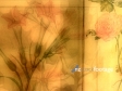 Antique Flowers 646